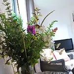 Nuits Etoilees Apartman *