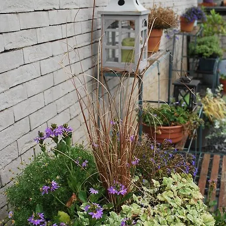 Nuits Etoilees Vencimont