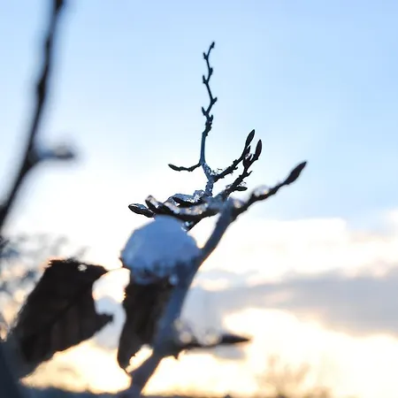 Lejlighed Nuits Etoilees Vencimont