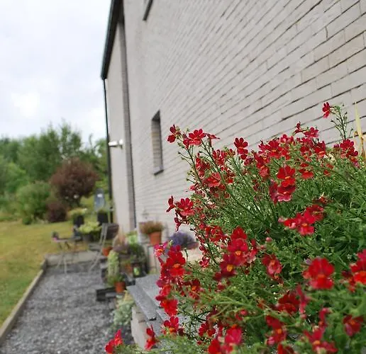 公寓 星光公寓 温瑟蒙特